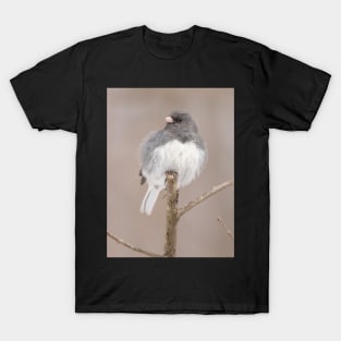 Fluffy Dark Eyed Junco with brown/tan blurred background T-Shirt